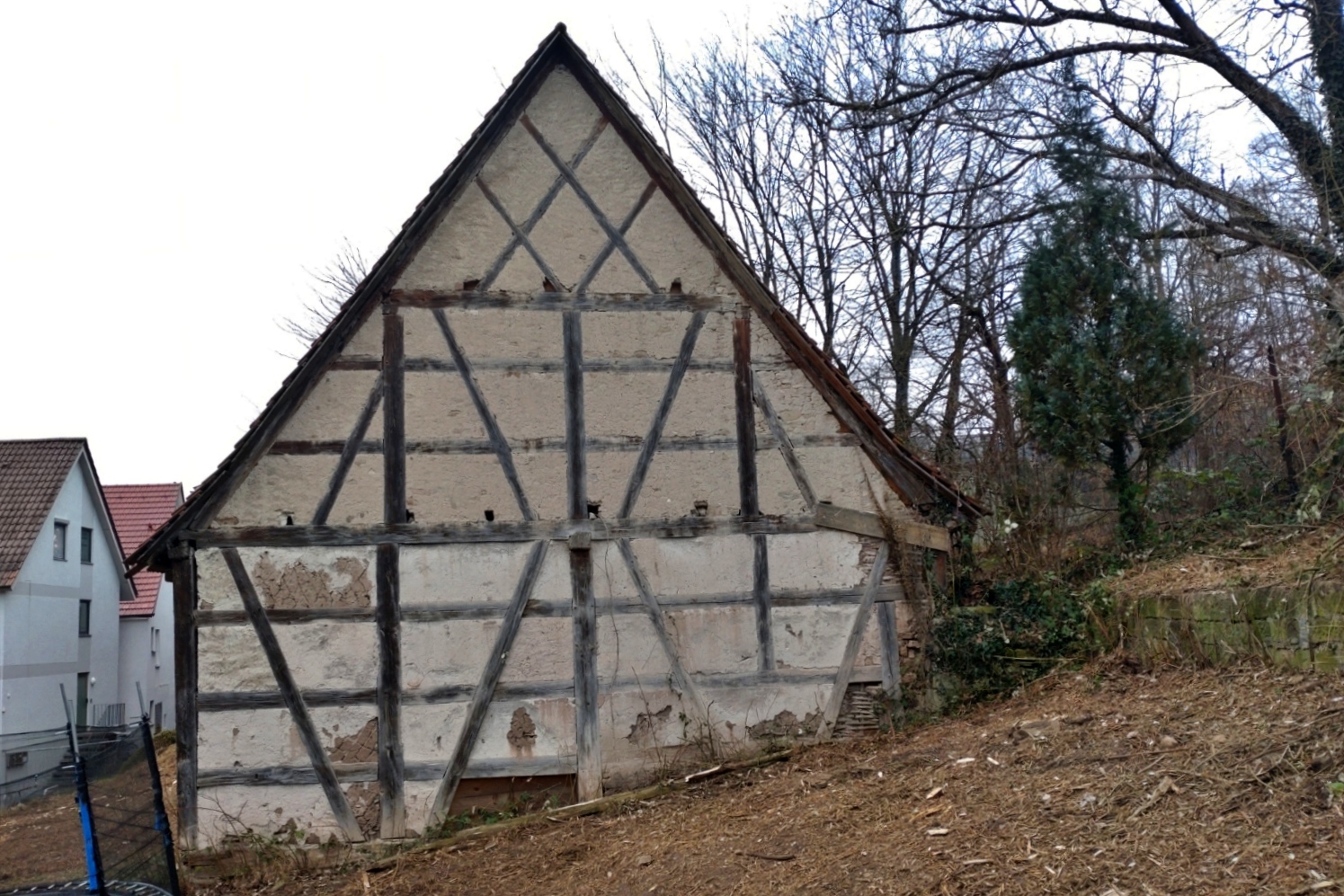 UGL_Scheuer_gerodet_von-Osten_250117